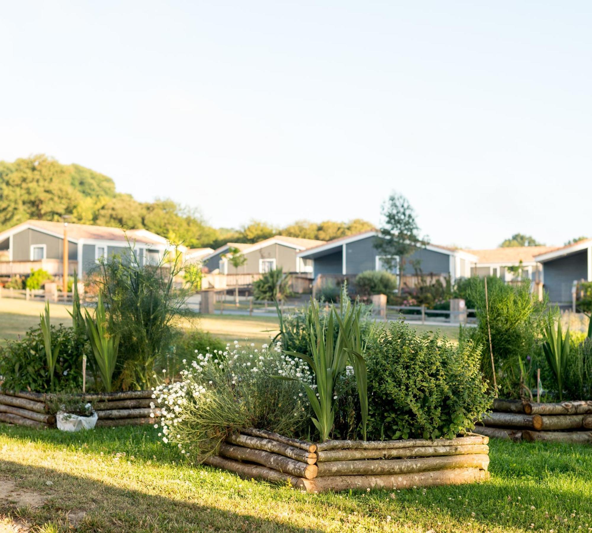 Domaine Melusine - A 2Km Du Puy Dufou France ! Hotel Les Épesses Екстериор снимка